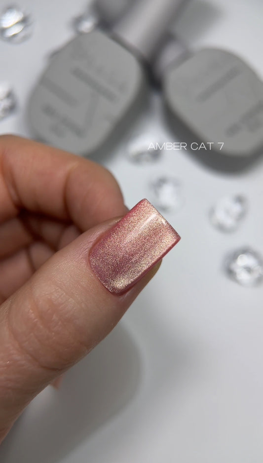 SAGA AMBER CAT 07, 10ml