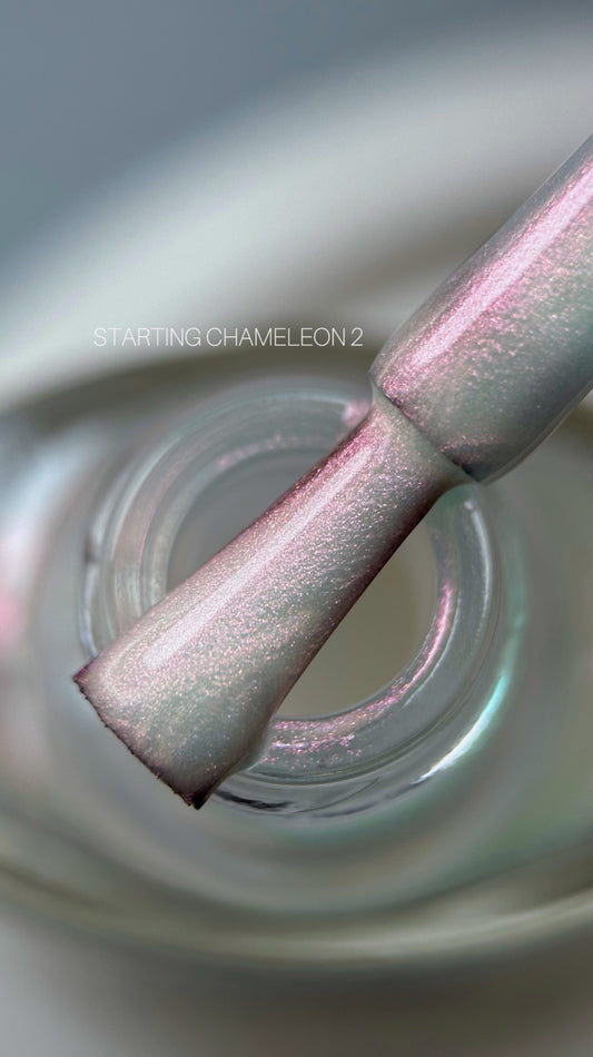 SAGA Professional STAMPING CHAMELEON Paint 02, 8ml