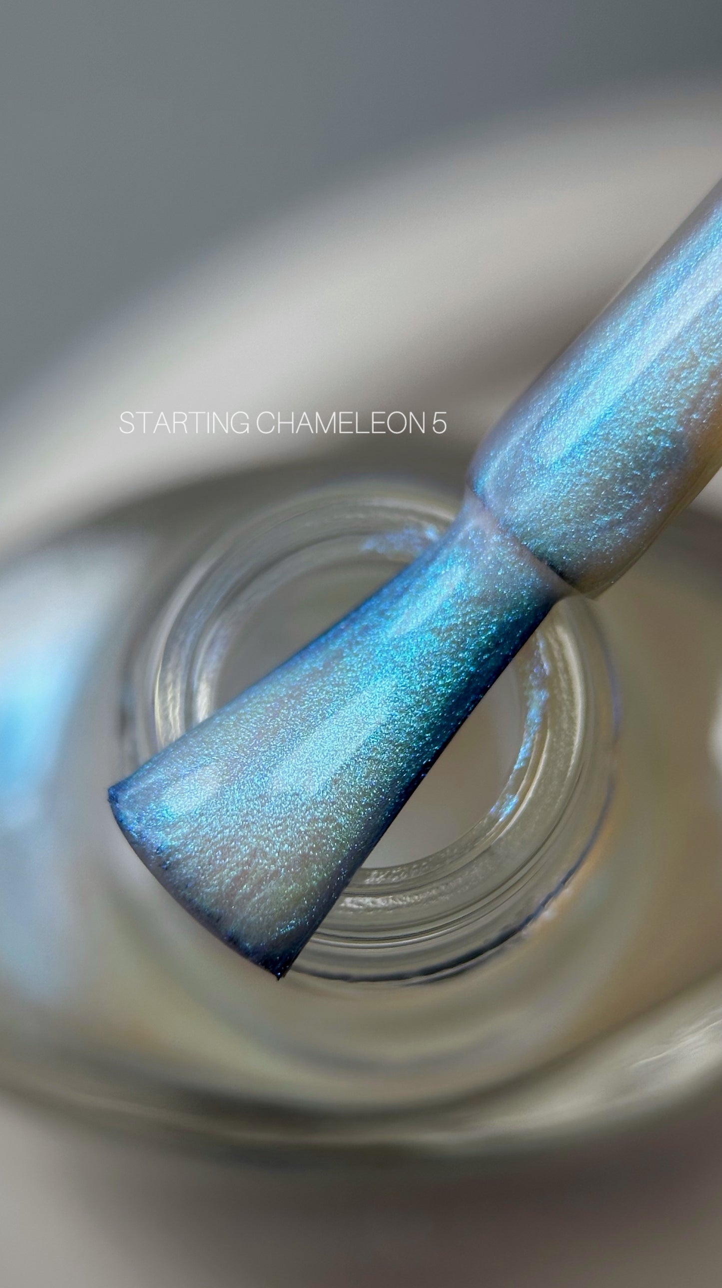 SAGA Professional STAMPING CHAMELEON Paint 05, 8ml