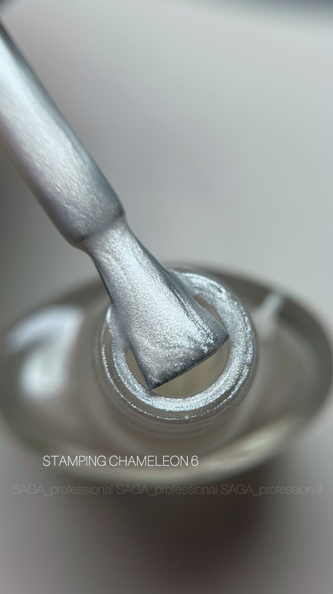 SAGA Professional STAMPING CHAMELEON Paint 06, 8ml