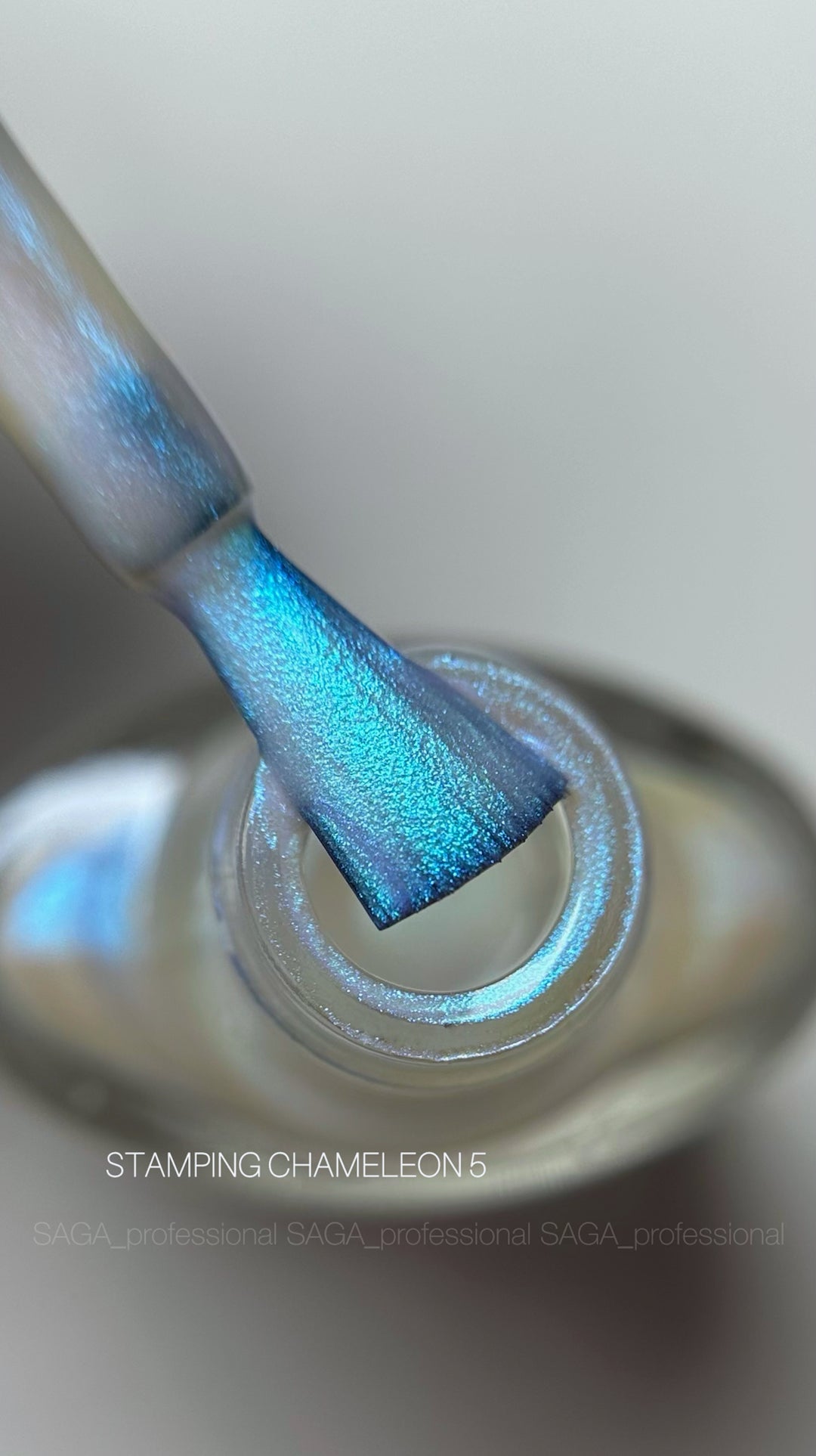 SAGA Professional STAMPING CHAMELEON Paint 05, 8ml