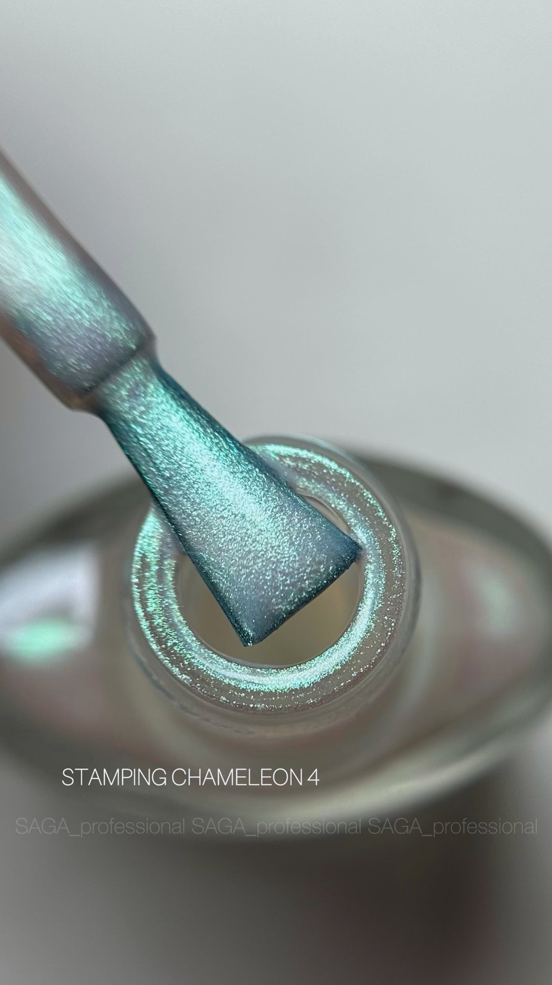 SAGA Professional STAMPING CHAMELEON Paint 04, 8ml