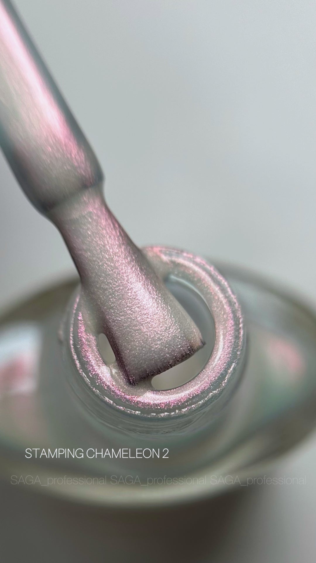 SAGA Professional STAMPING CHAMELEON Paint 02, 8ml